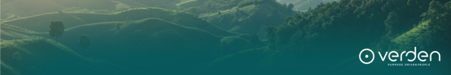 Verden Professionals cover image