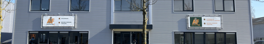Active Flex cover image