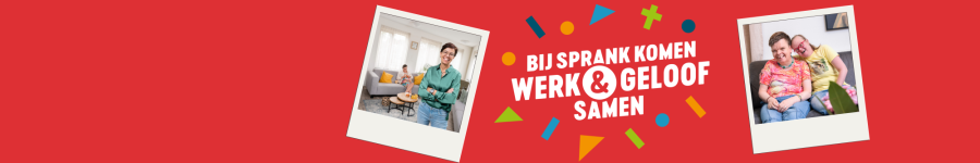 Stichting Sprank cover image