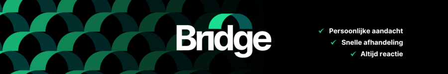 Bridge cover image